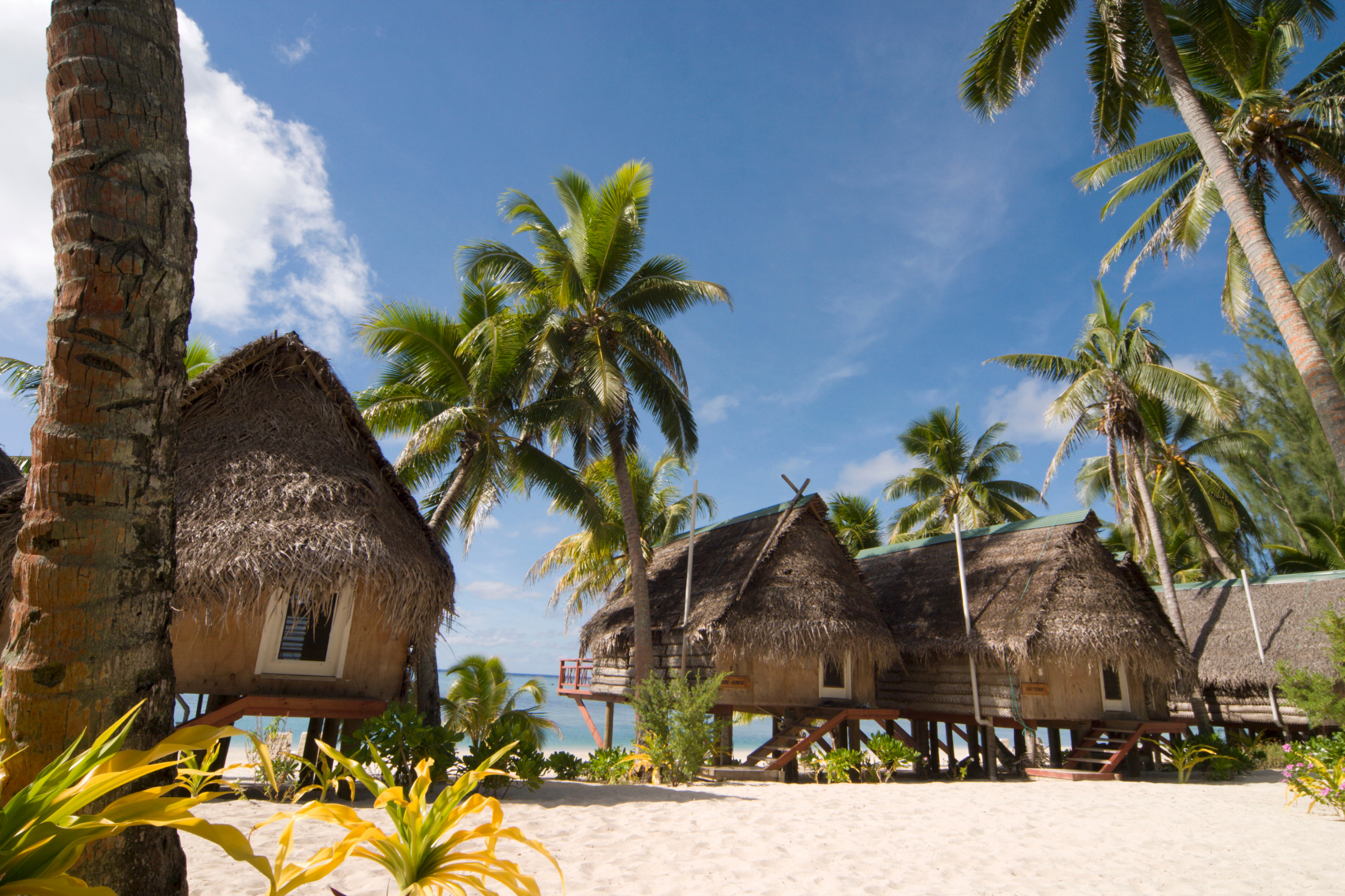 cook island (2).webp